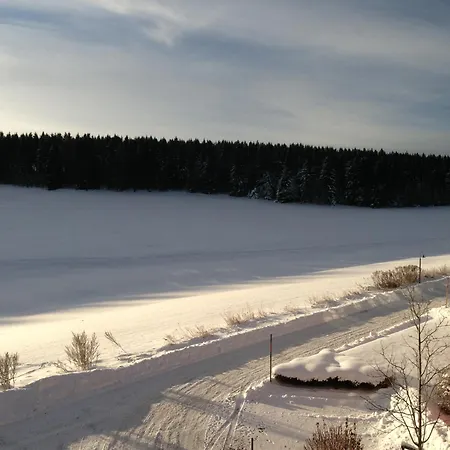 Gosch An Der Skiwiese Апартаменты *